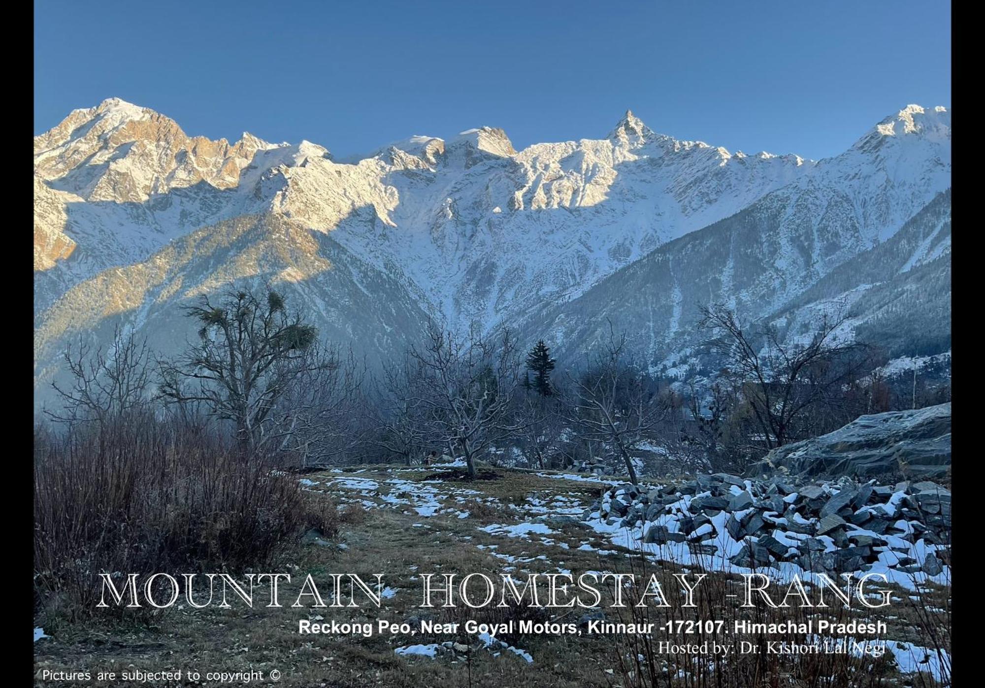 Mountain Home Stay: Serene Retreat in Reckong Peo Kalpa Exterior photo